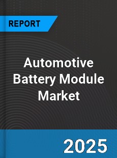 Global Automotive Battery Module Industry