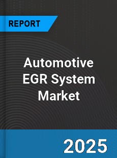 Report on Global Automotive EGR System Market by Player