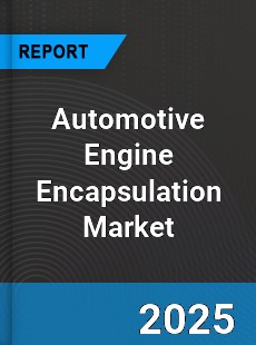 Global and Regional Automotive Engine Encapsulation Industry