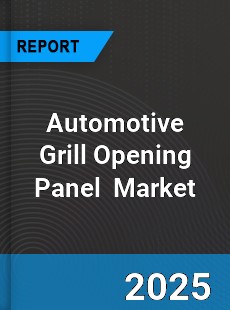 Automotive Grill Opening Panel Global and China Top Players Market