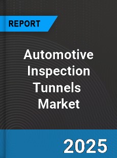 Global Automotive Inspection Tunnels Outlook