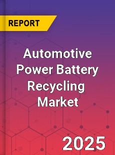 Automotive Power Battery Recycling Global and China Top Players Market
