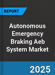 Worldwide Autonomous Emergency Braking Aeb System Market