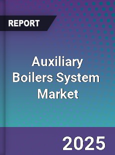 Auxiliary Boilers System Global and China Top Players Market
