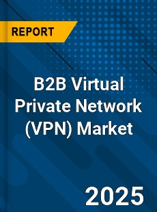 COVID 19 Outbreak Global B2B Virtual Private Network Industry