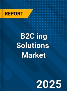 Global B2C Marketing Solutions Industry
