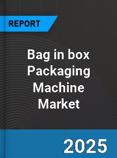 Global Bag in box Packaging Machine Industry