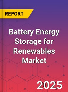 Global Battery Energy Storage for Renewables Industry