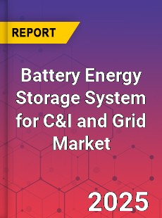 Global Battery Energy Storage System for C amp I and Grid Market