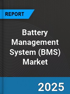 Global Battery Management System Industry