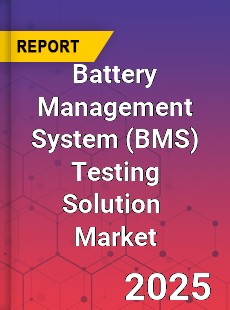 Global Battery Management System Testing Solution Industry