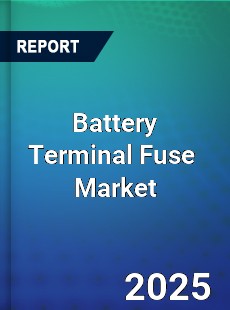 Global Battery Terminal Fuse Industry
