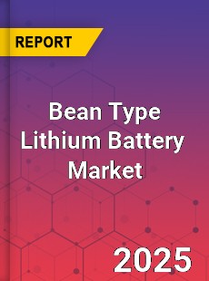 Bean Type Lithium Battery Global and China Top Players Market