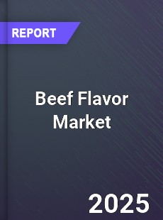 Global Beef Flavor Market