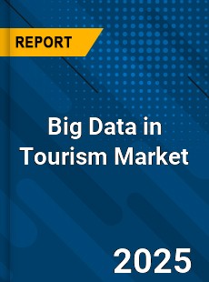 Report on Global Big Data in Tourism Market by Player