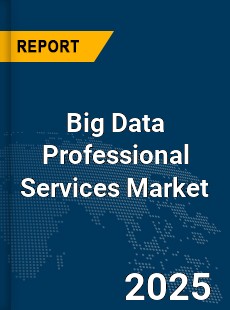 Global Big Data Professional Services Market