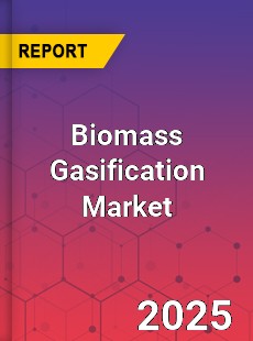 Global Biomass Gasification Market