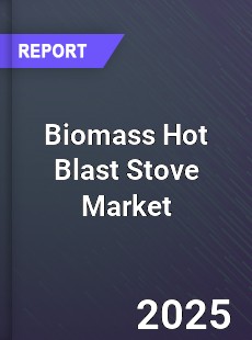 Global Biomass Hot Blast Stove Market