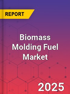 Global Biomass Molding Fuel Market