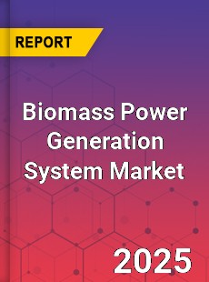 Biomass Power Generation System Global and China Top Players Market