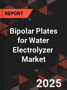Global Bipolar Plates for Water Electrolyzer Industry