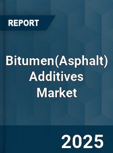 Global Bitumen Additives Market