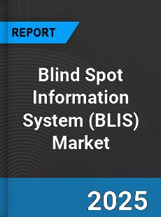 Global Blind Spot Information System Market