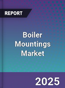 Global Boiler Mountings Market
