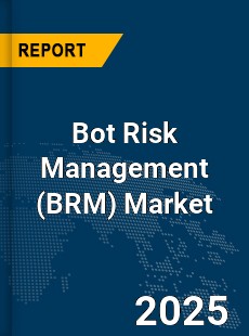 COVID 19 Outbreak Global Bot Risk Management Industry