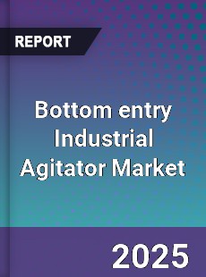 Global Bottom entry Industrial Agitator Market