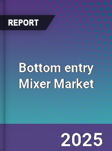 Global Bottom entry Mixer Market