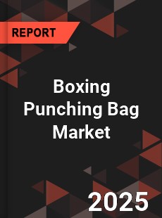 Boxing Punching Bag Global and China Top Players Market