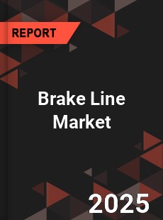 COVID 19 Outbreak Global Brake Line Industry