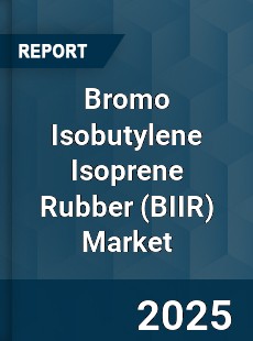 Bromo Isobutylene Isoprene Rubber Market