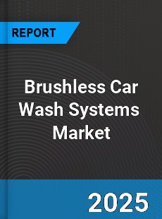 Global Brushless Car Wash Systems Professional Survey Report