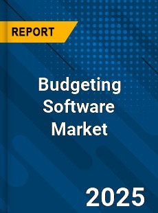 Report on Global Budgeting Software Market by Player