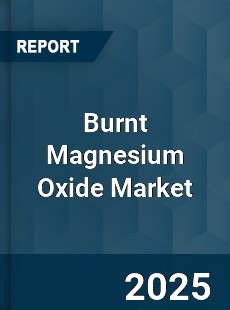 Burnt Magnesium Oxide Market
