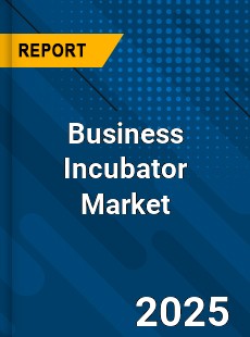 Business Incubator Global and China Top Players Market