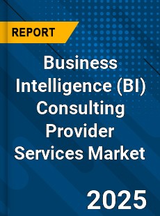 Global Business Intelligence Consulting Provider Services Industry