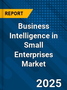 Global Business Intelligence in Small Enterprises Market