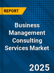 Report on Global Business Management Consulting Services