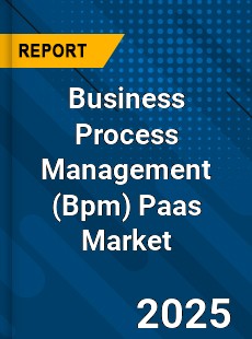 Global Business Process Management Paas Market