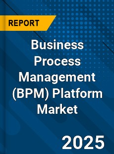 Business Process Management Platform Global and China Top Players Market