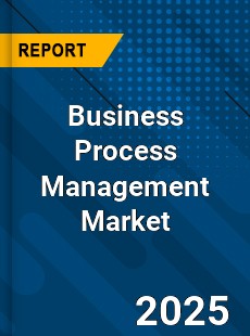 Global Business Process Management Industry
