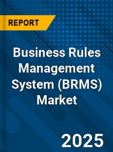 COVID 19 Outbreak Global Business Rules Management System Industry