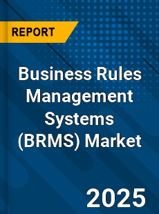 Global Business Rules Management Systems Market