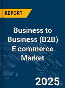 Global Business to Business E commerce Market