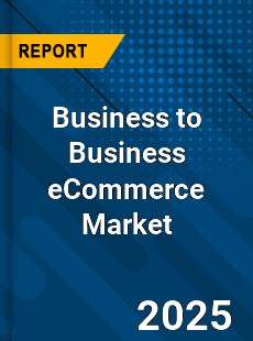 Global Business to Business eCommerce Market