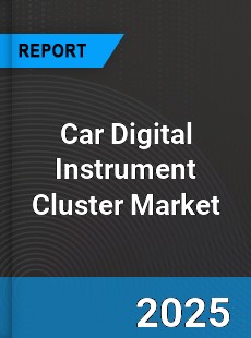 Car Digital Instrument Cluster Global and China Top Players Market