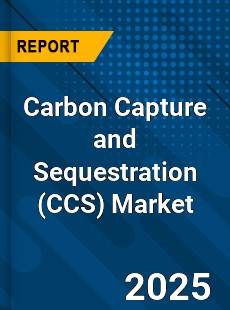 Report on Global Carbon Capture and Sequestration